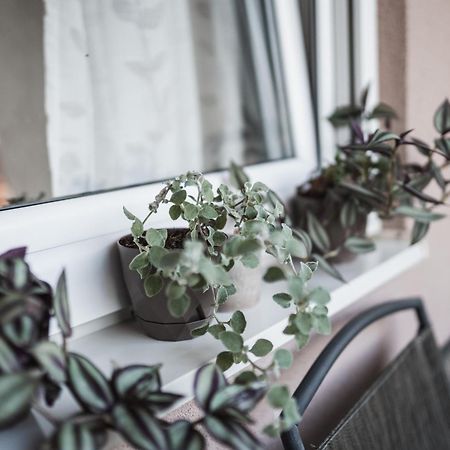 Apartman Centar Doboj Eksteriør billede