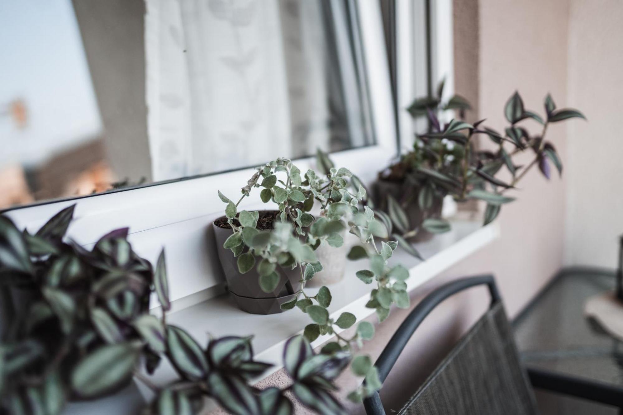 Apartman Centar Doboj Eksteriør billede